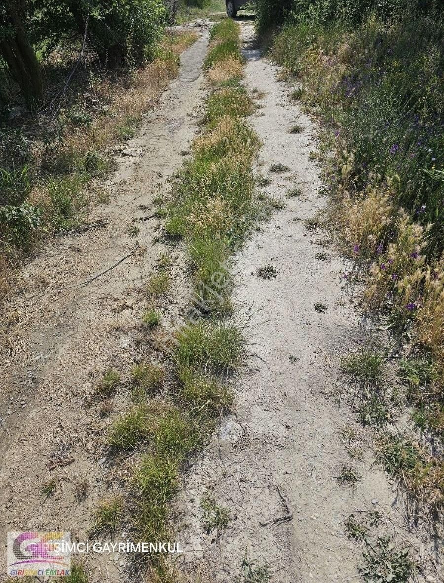 Çamözü Mevkinde 14.300 M2 Sulu Boş Tarla - Görsel 7