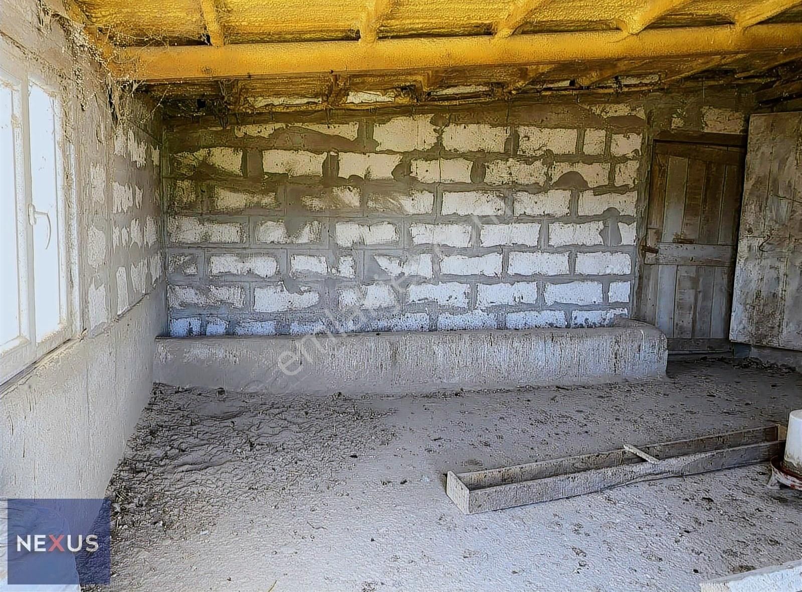 Binkılıç Villa Bölgesin'de 5.600 M2 Satılık Çiftlik - Görsel 15