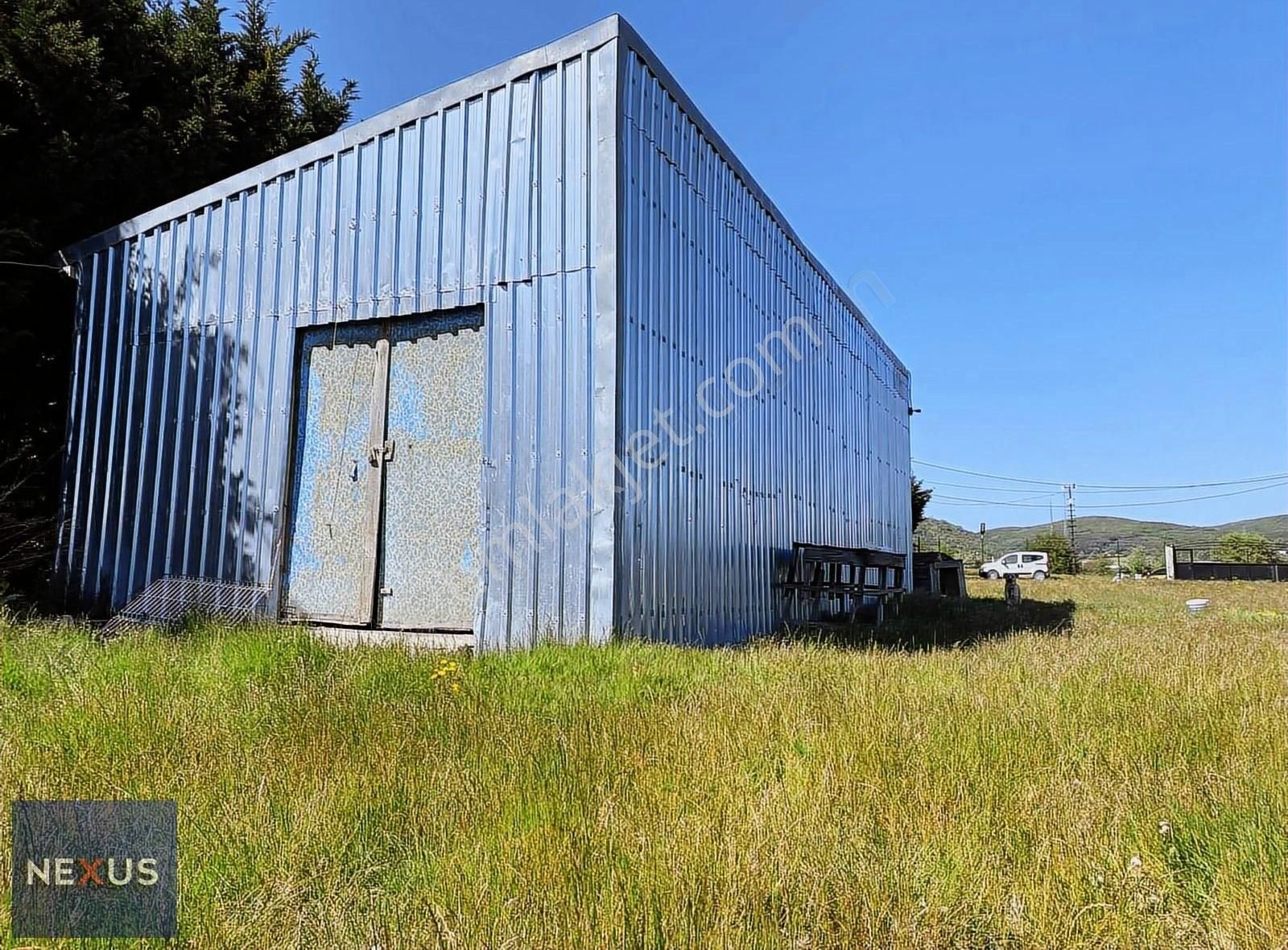 Binkılıç Villa Bölgesin'de 5.600 M2 Satılık Çiftlik - Görsel 11