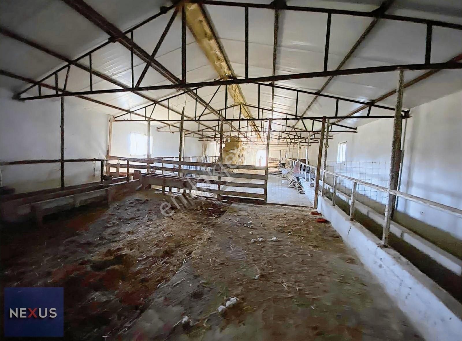 Binkılıç Villa Bölgesin'de 5.600 M2 Satılık Çiftlik - Görsel 10