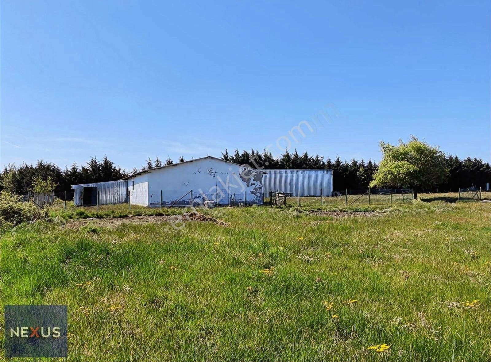 Binkılıç Villa Bölgesin'de 5.600 M2 Satılık Çiftlik - Görsel 14