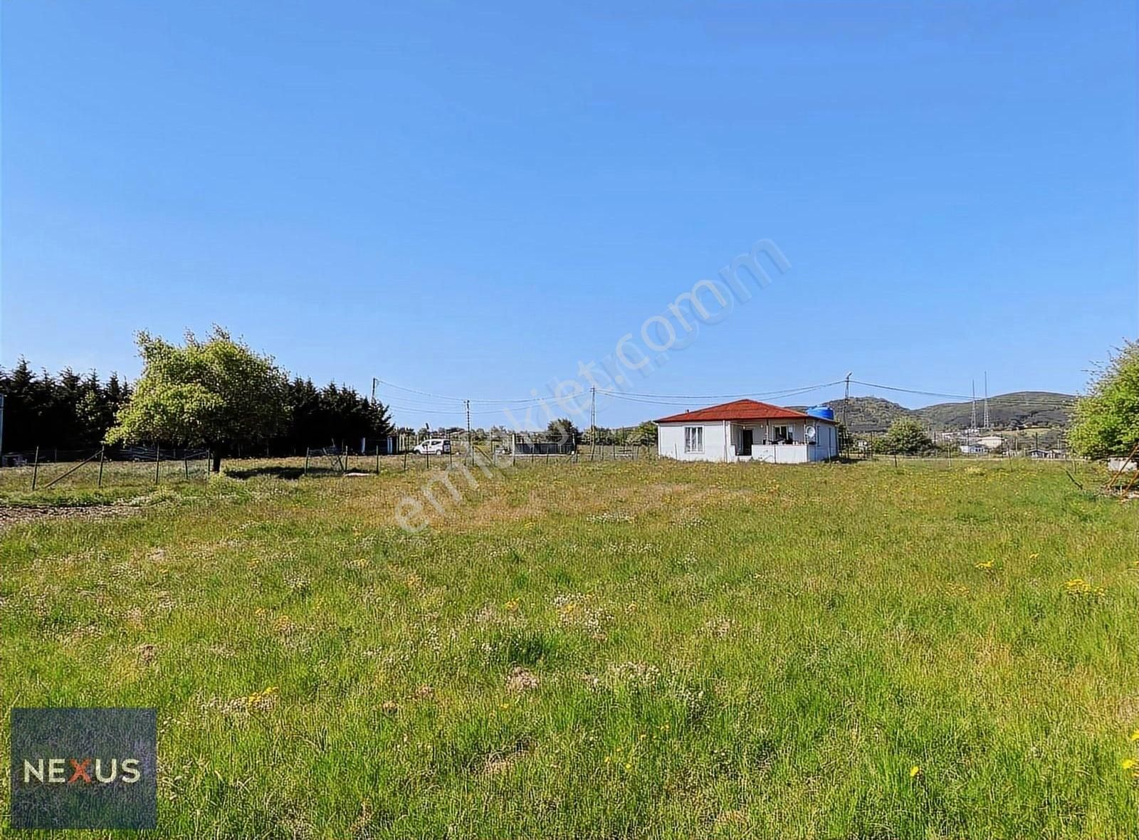 Binkılıç Villa Bölgesin'de 5.600 M2 Satılık Çiftlik - Görsel 3