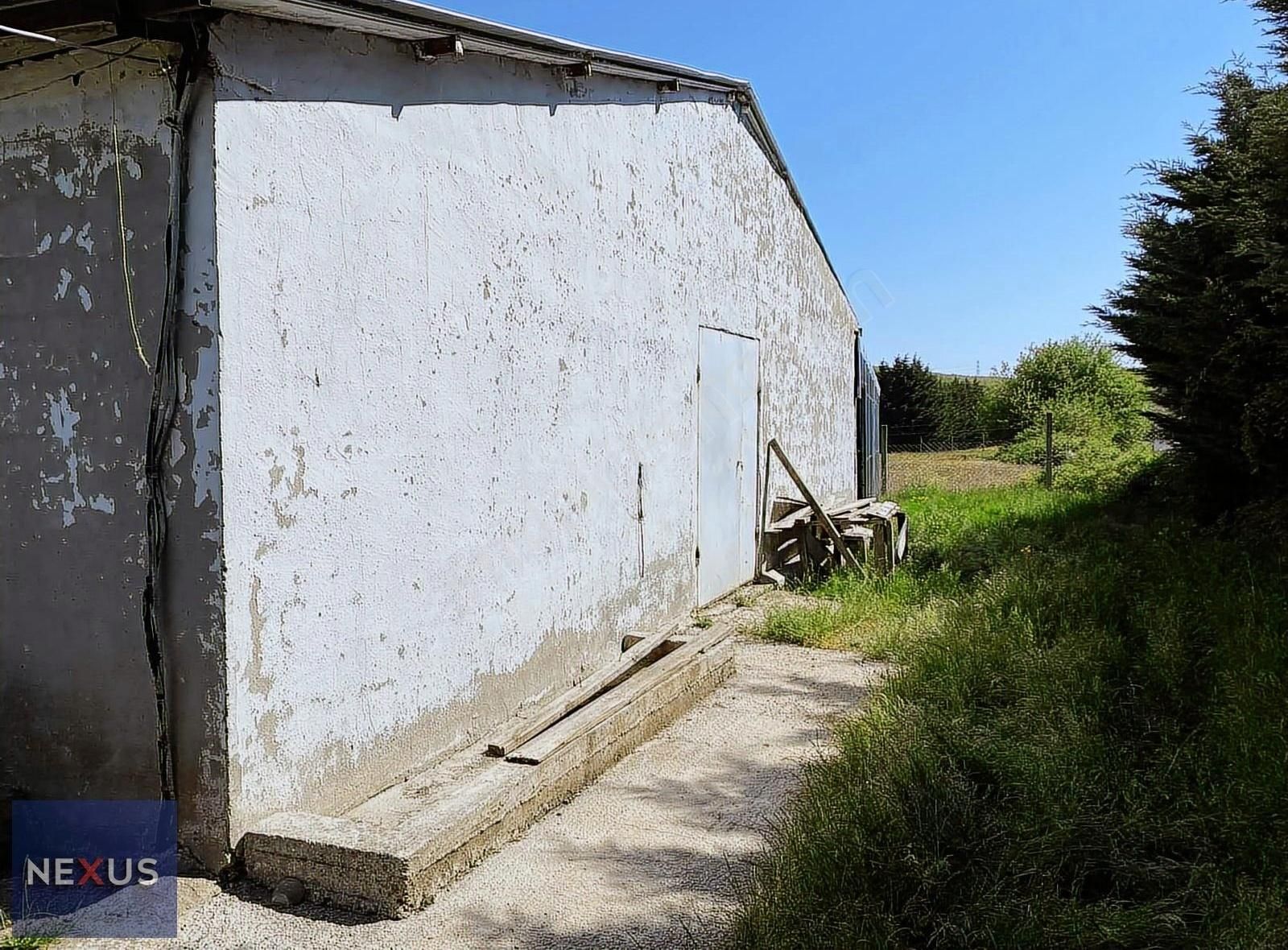 Binkılıç Villa Bölgesin'de 5.600 M2 Satılık Çiftlik - Görsel 12