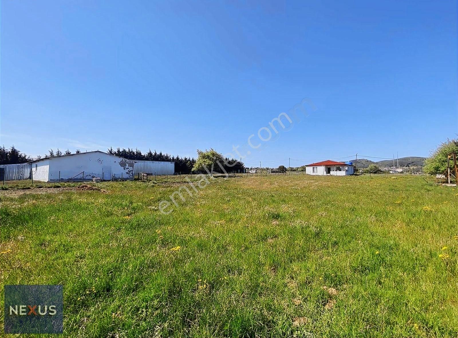 Buzağlık Mevkiinde 5.589 M2 Satılık Arsa - Görsel 8