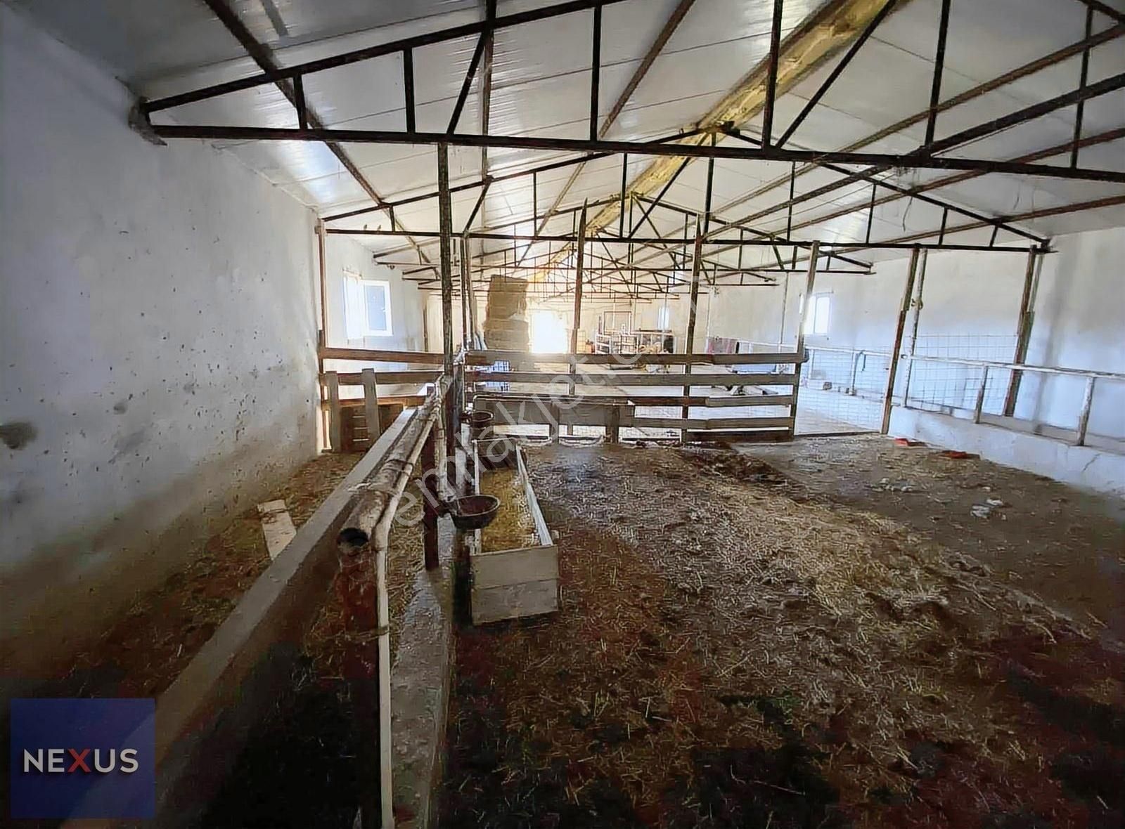 Buzağlık Mevkiinde 5.589 M2 Satılık Arsa - Görsel 12