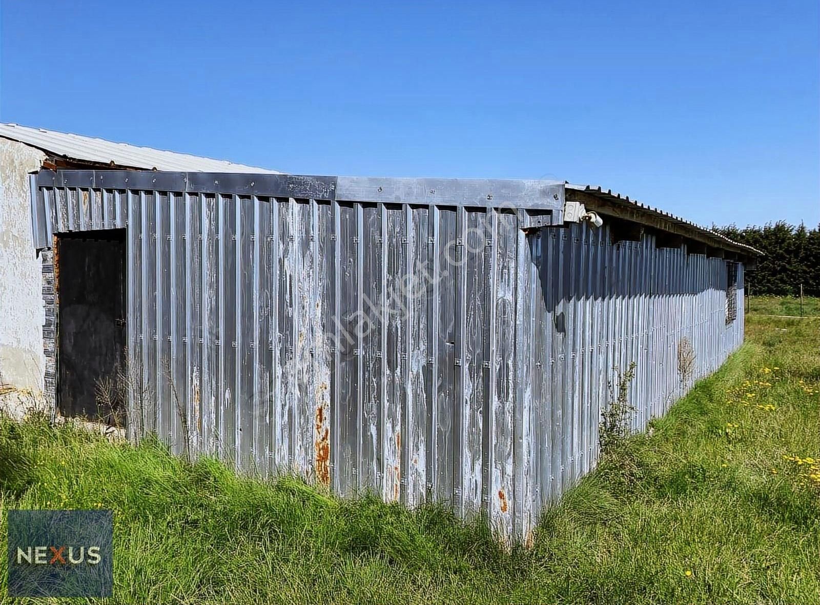 Buzağlık Mevkiinde 5.589 M2 Satılık Arsa - Görsel 4