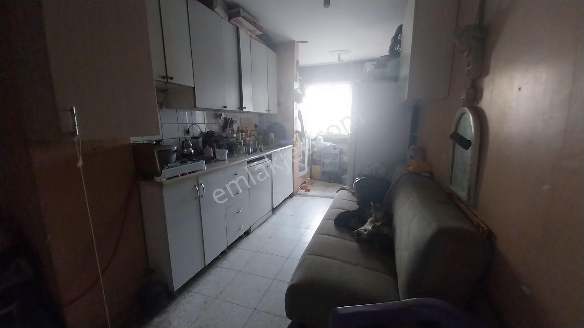 Afet Evlerin De Daire Ve İşyeri Satılık - Görsel 12