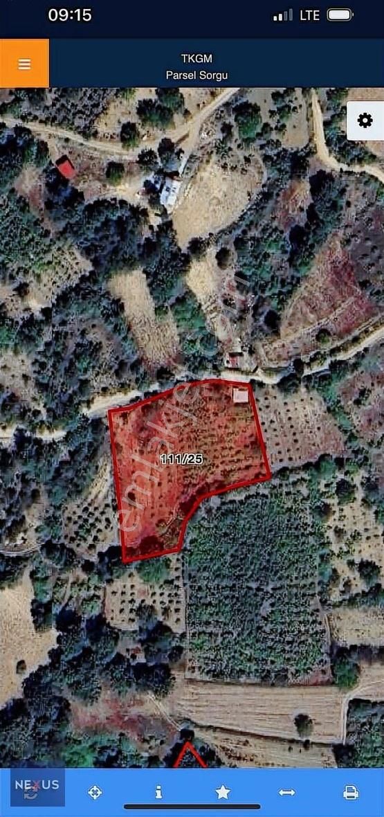 Sakarya Geyve Yaylak'da Satılık 4.dönüm Fındık Bahçesi - Görsel 2