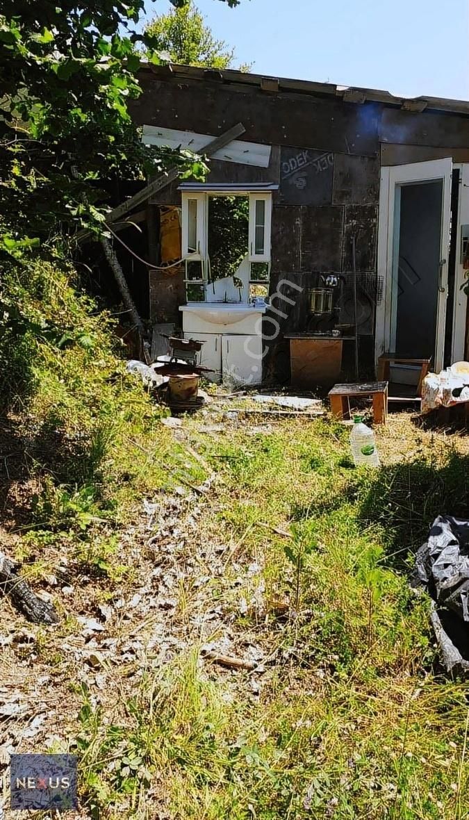 Sakarya Geyve Yaylak'da Satılık 4.dönüm Fındık Bahçesi - Görsel 6