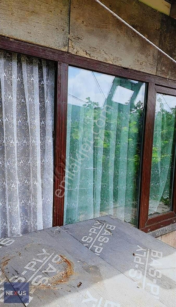 Sakarya Geyve Yaylak'da Satılık 4.dönüm Fındık Bahçesi - Görsel 5