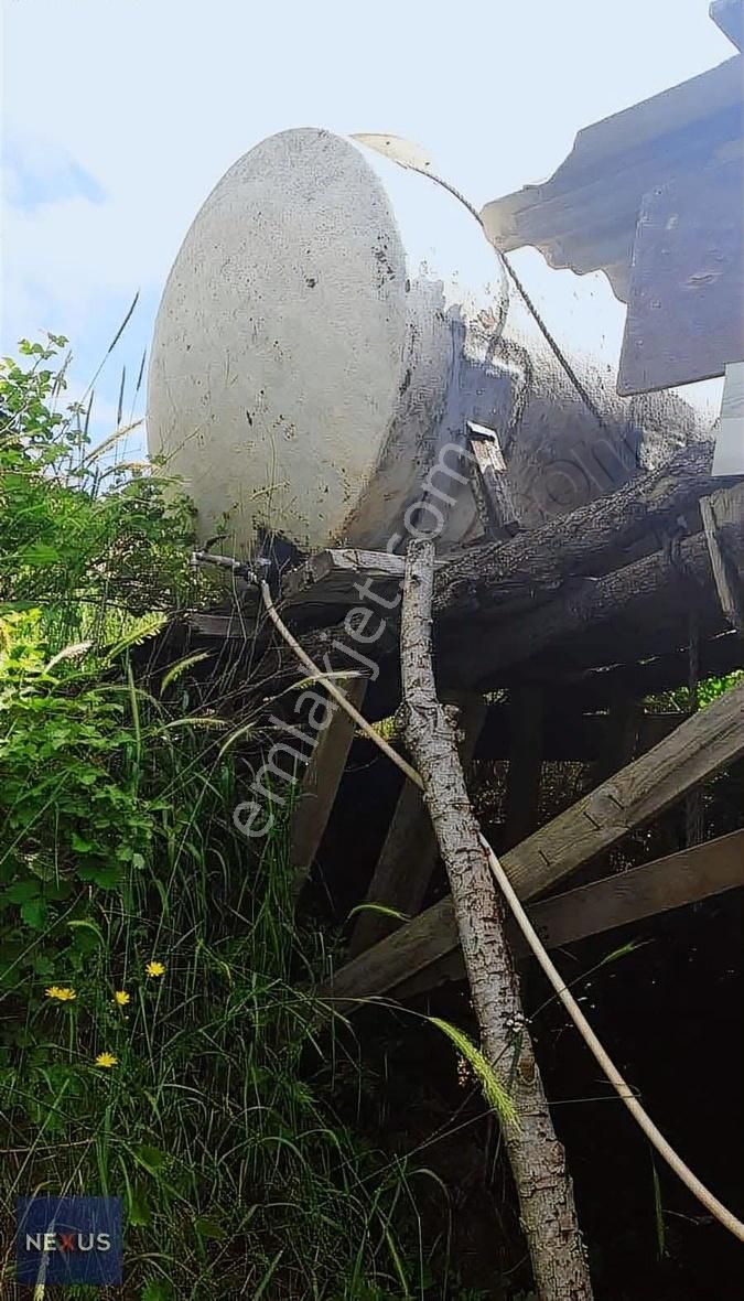 Sakarya Geyve Yaylak'da Satılık 4.dönüm Fındık Bahçesi - Görsel 8