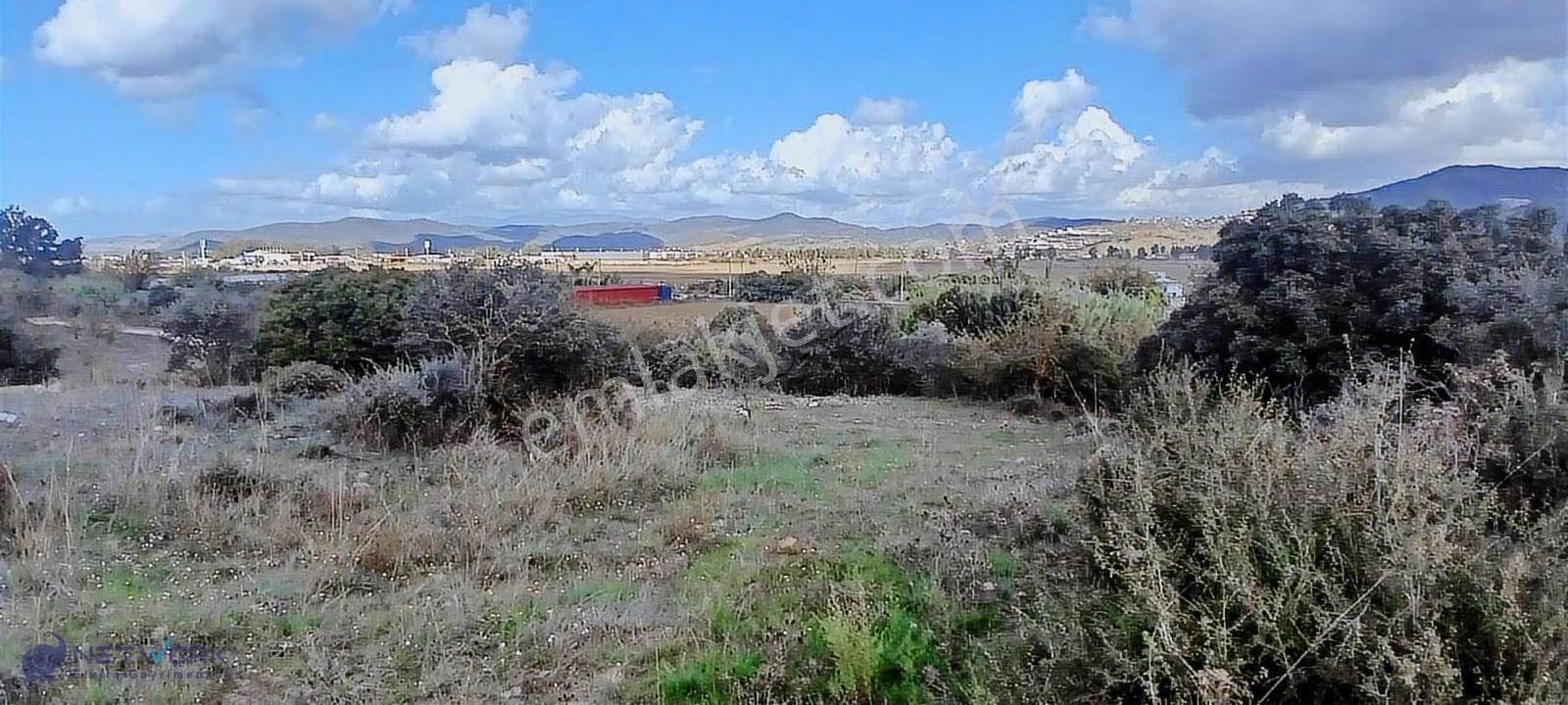 Bodrum Meşelikte Doğa İle Kazancın Buluştuğu Nokta! - Görsel 22
