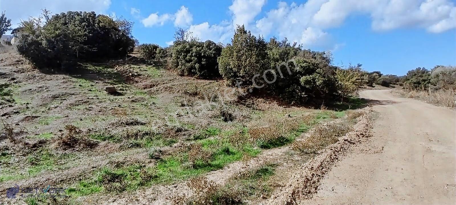Bodrum Meşelikte Doğa İle Kazancın Buluştuğu Nokta! - Görsel 20