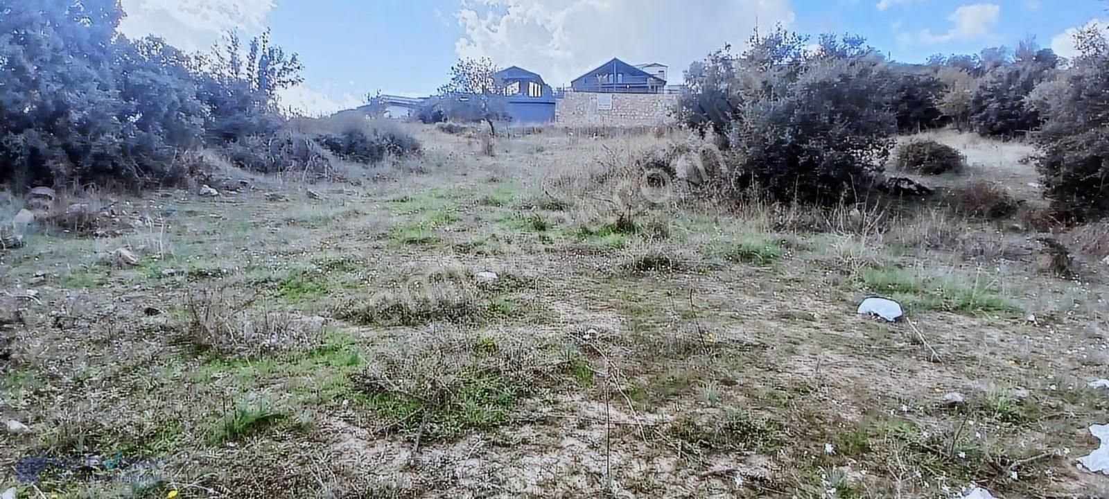 Bodrum Meşelikte Doğa İle Kazancın Buluştuğu Nokta! - Görsel 26