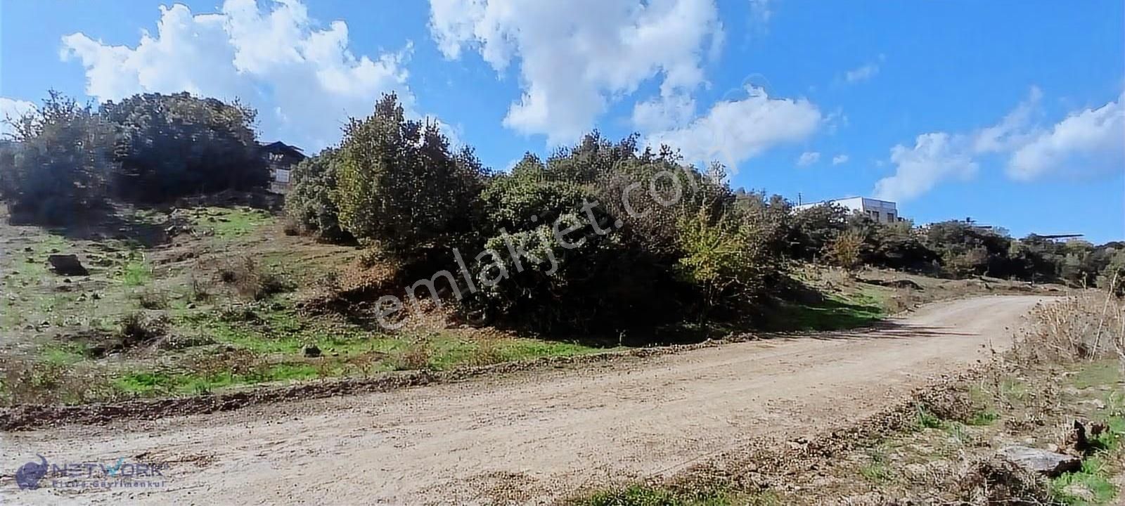 Bodrum Meşelikte Doğa İle Kazancın Buluştuğu Nokta! - Görsel 25