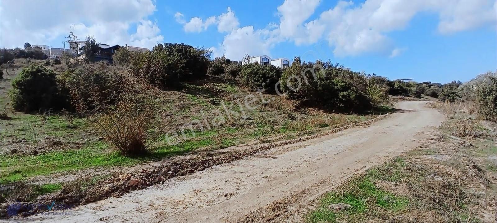 Bodrum Meşelikte Doğa İle Kazancın Buluştuğu Nokta! - Görsel 11