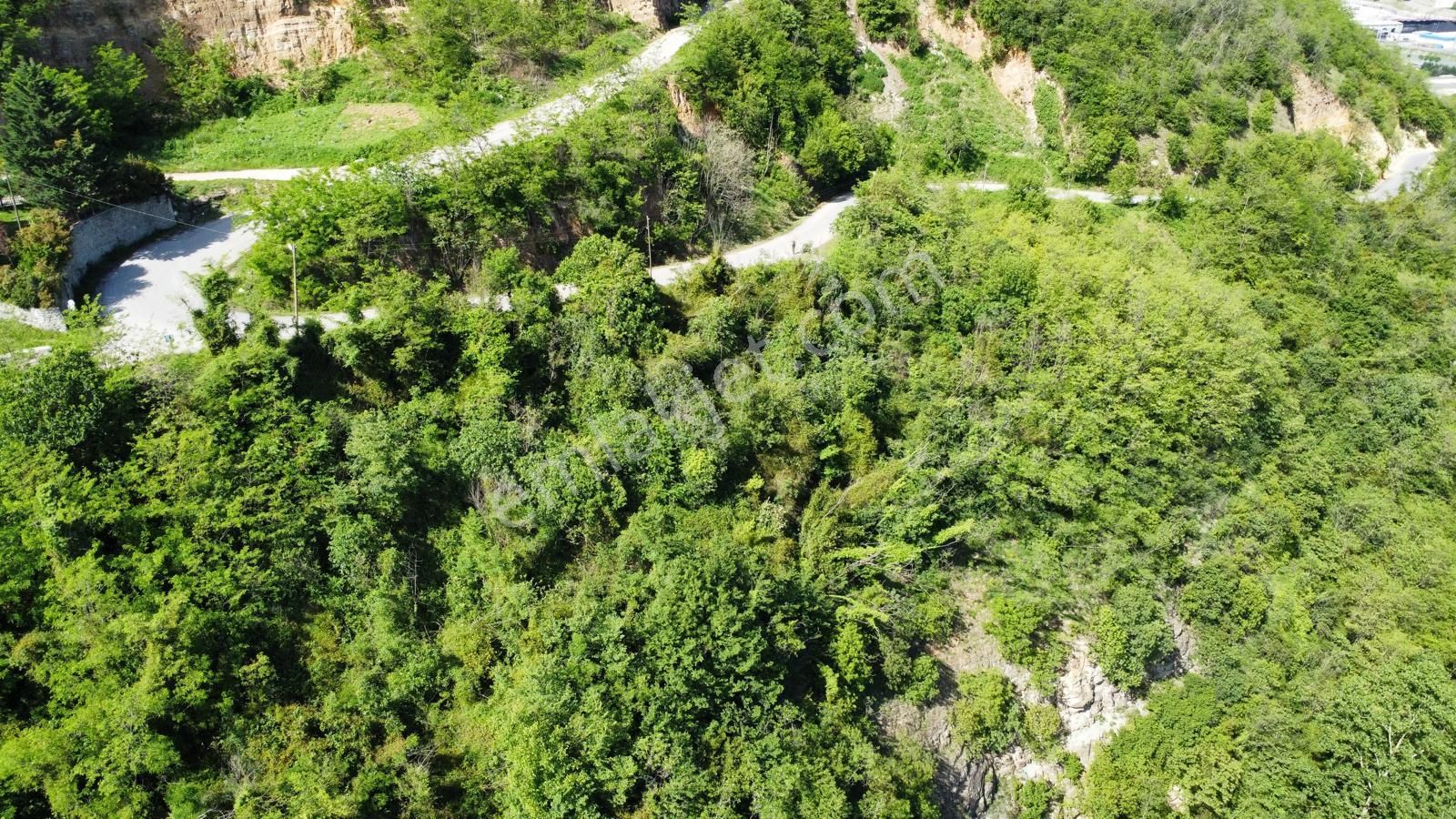 Trabzon Gözalan'da Satılık Arazi - Görsel 29