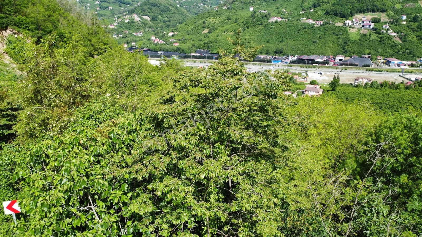 Trabzon Gözalan'da Satılık Arazi - Görsel 10