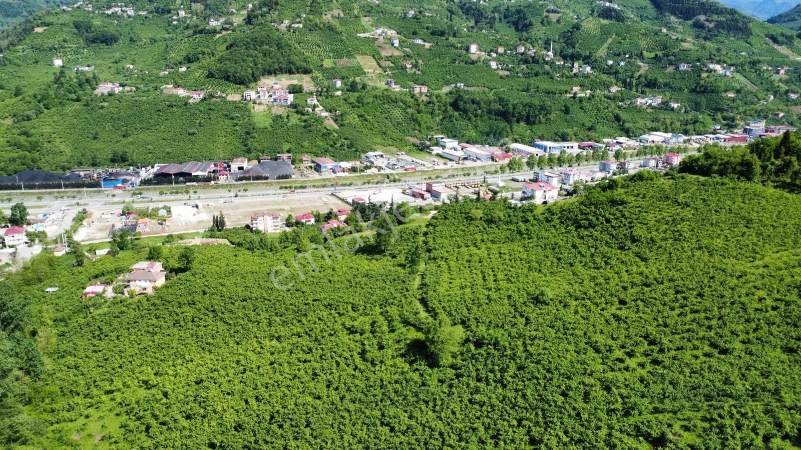 Trabzon Gözalan'da Satılık Arazi - Görsel 8