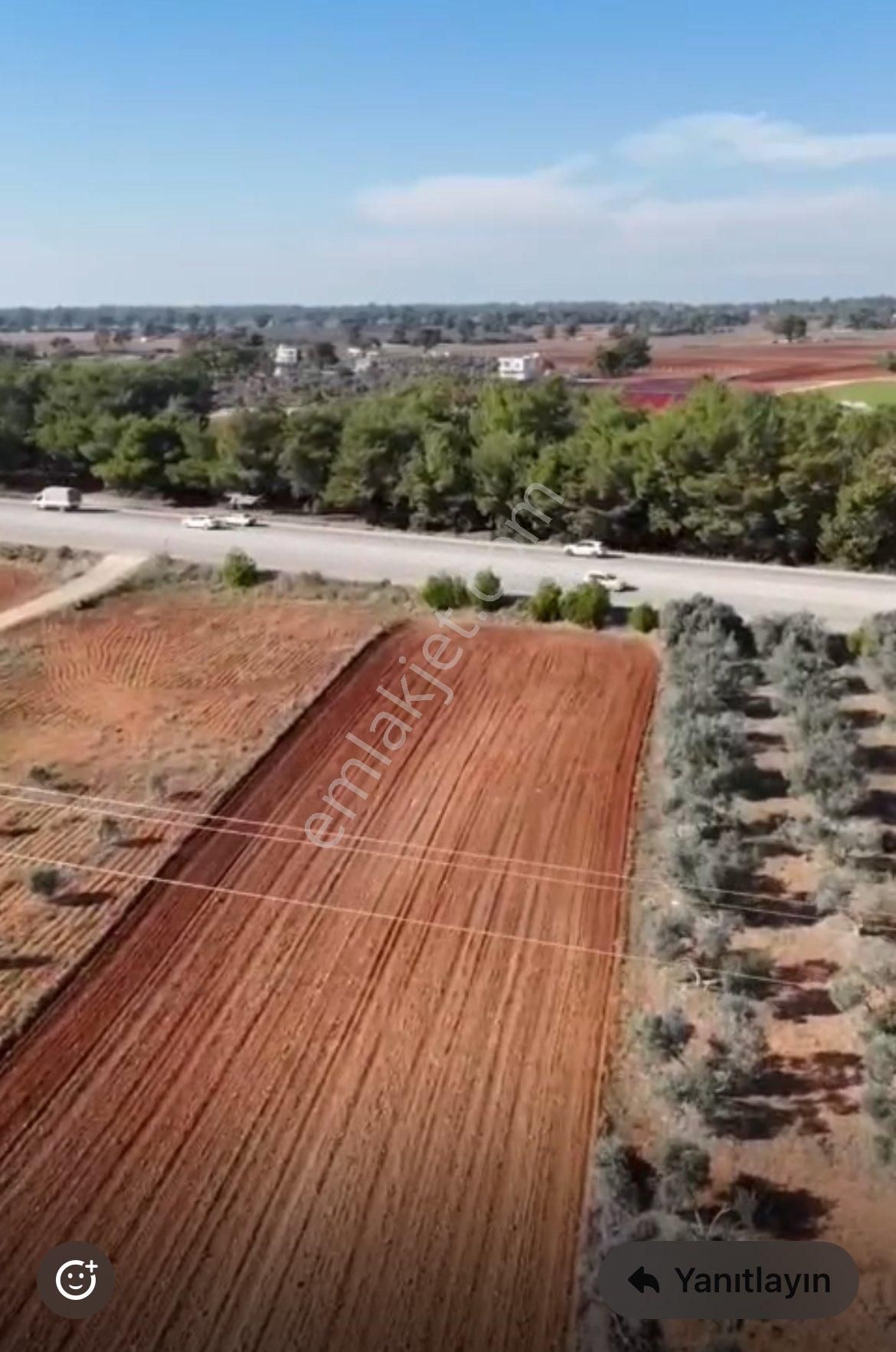 Mustafalar Köyü Kozan Yoluna 2 Nci Parsel Satılıktır - Görsel 2
