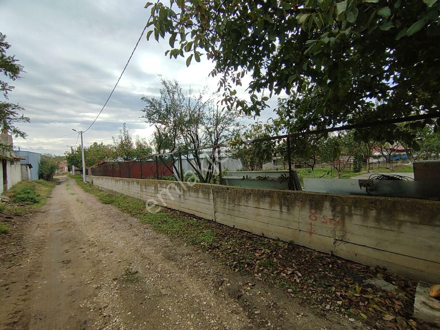 Edirne Oğulpaşa Köyünde Satılık Çiftlik - Görsel 6