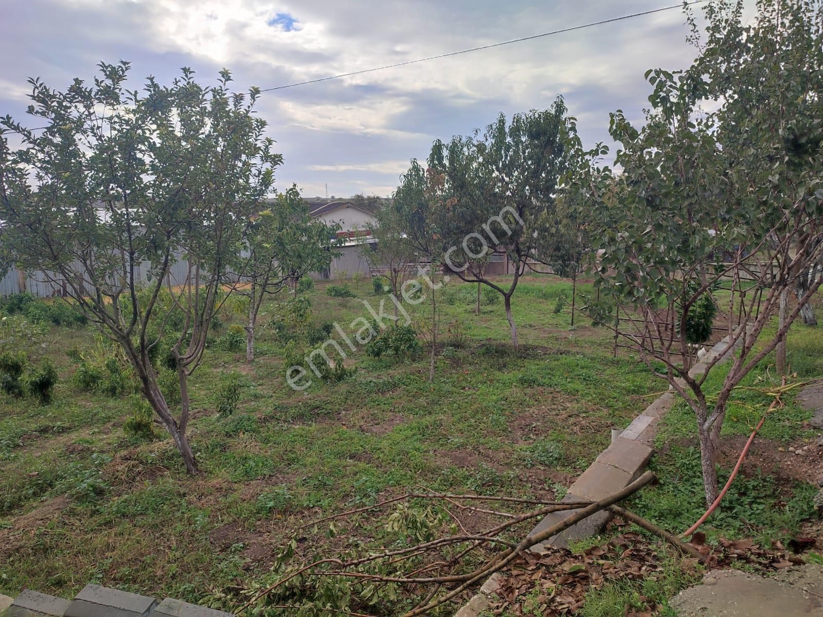 Edirne Oğulpaşa Köyünde Satılık Çiftlik - Görsel 4