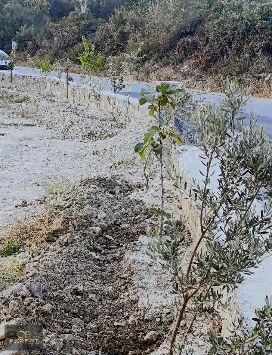 Satılık Arsa - Görsel 3
