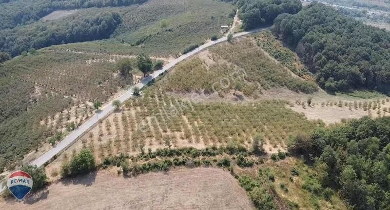 Re/max Mavi'den Yola Cepheli Fındıklık - Görsel 6