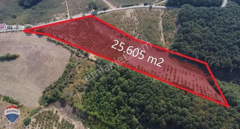 Re/max Mavi'den Yola Cepheli Fındıklık - Görsel 3