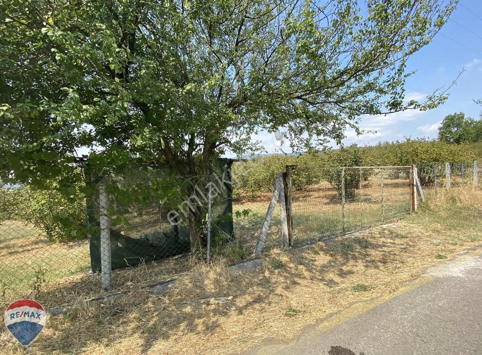 Re/max Mavi'den Yola Cepheli Fındıklık - Görsel 4