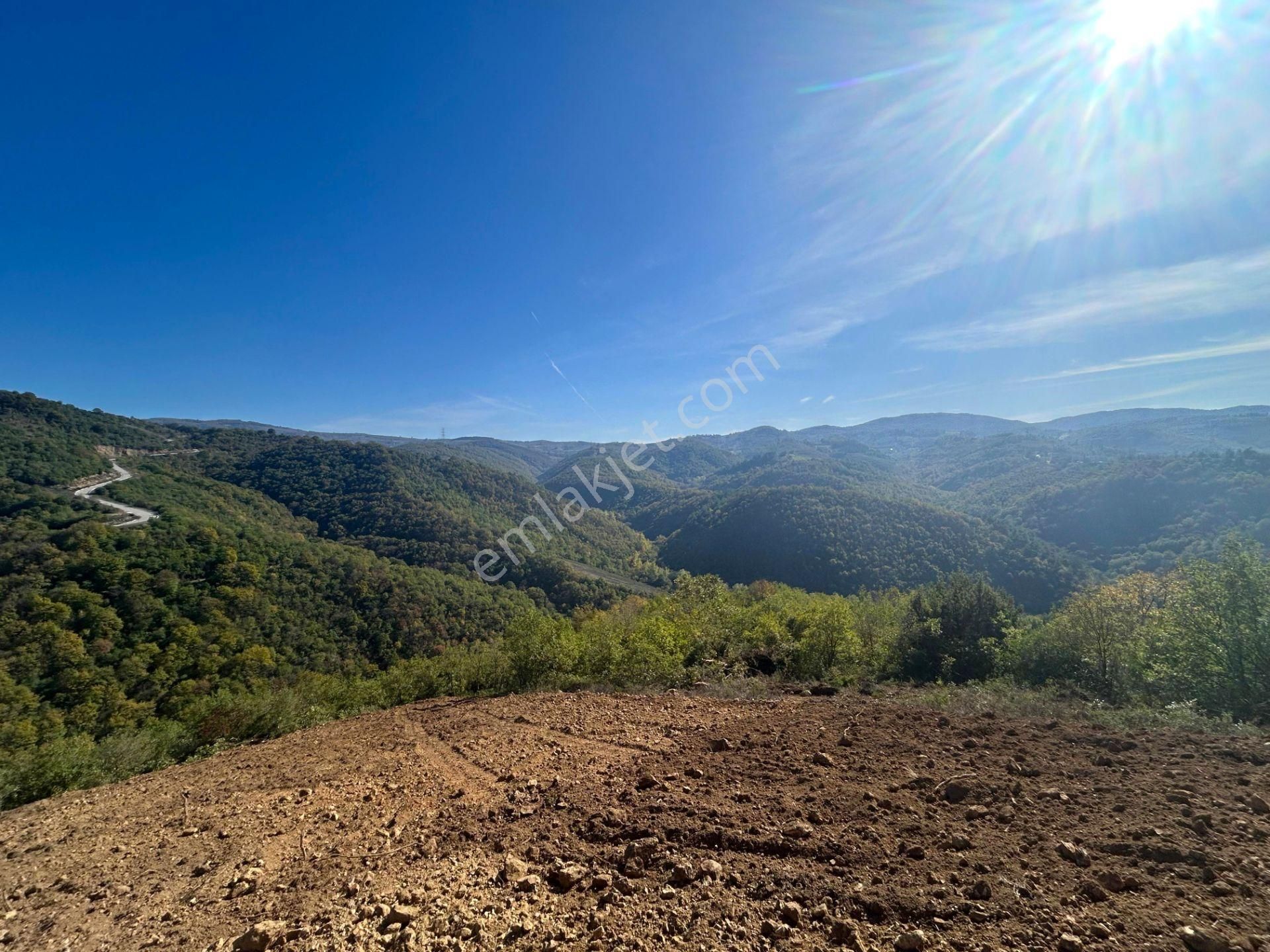 Kocaeli Karamürsel Çamdibi %5 İmarlı 1.247 M² Satılık Tarla - Görsel 12