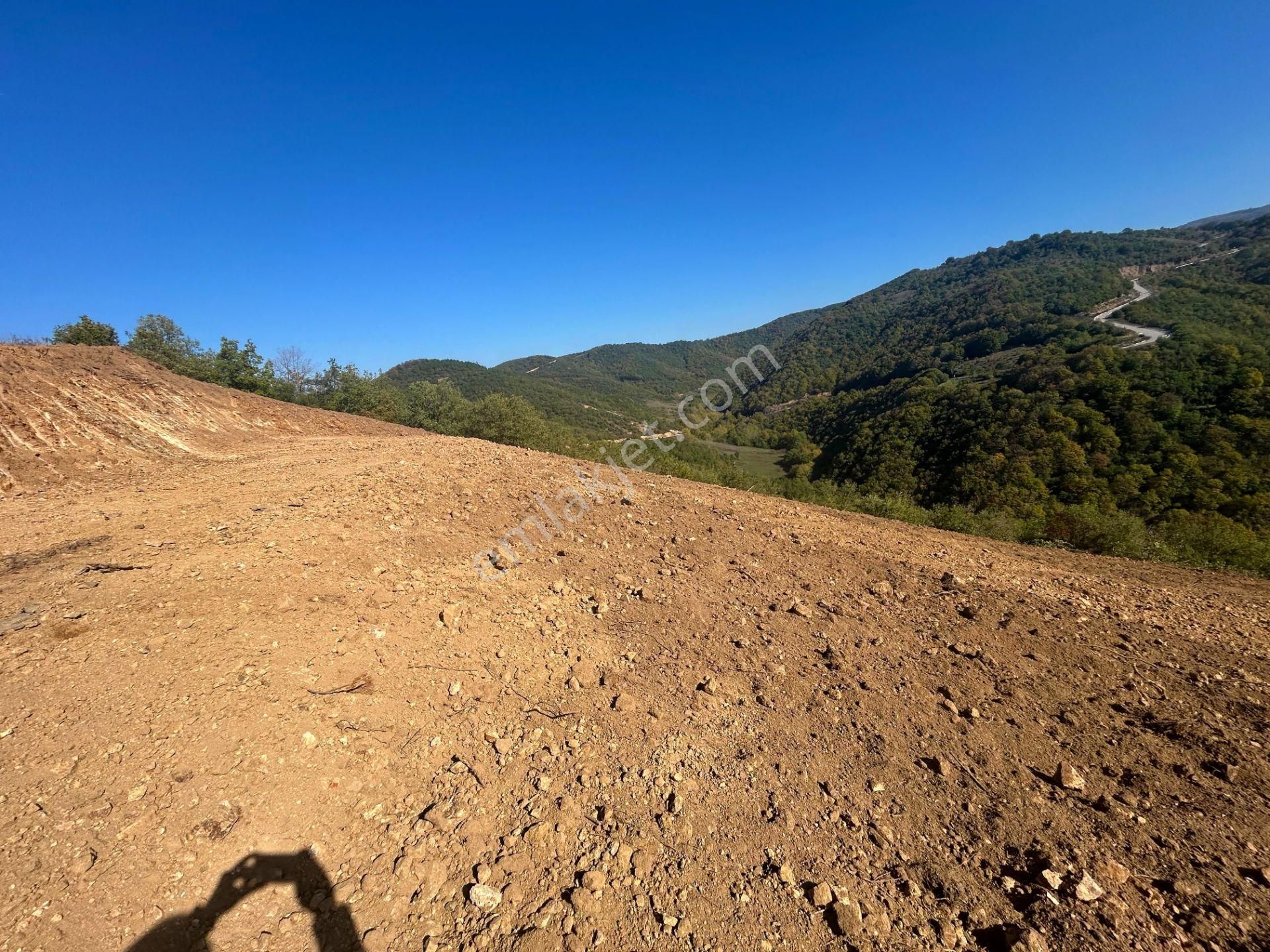 Kocaeli Karamürsel Çamdibi %5 İmarlı 1.247 M² Satılık Tarla - Görsel 7