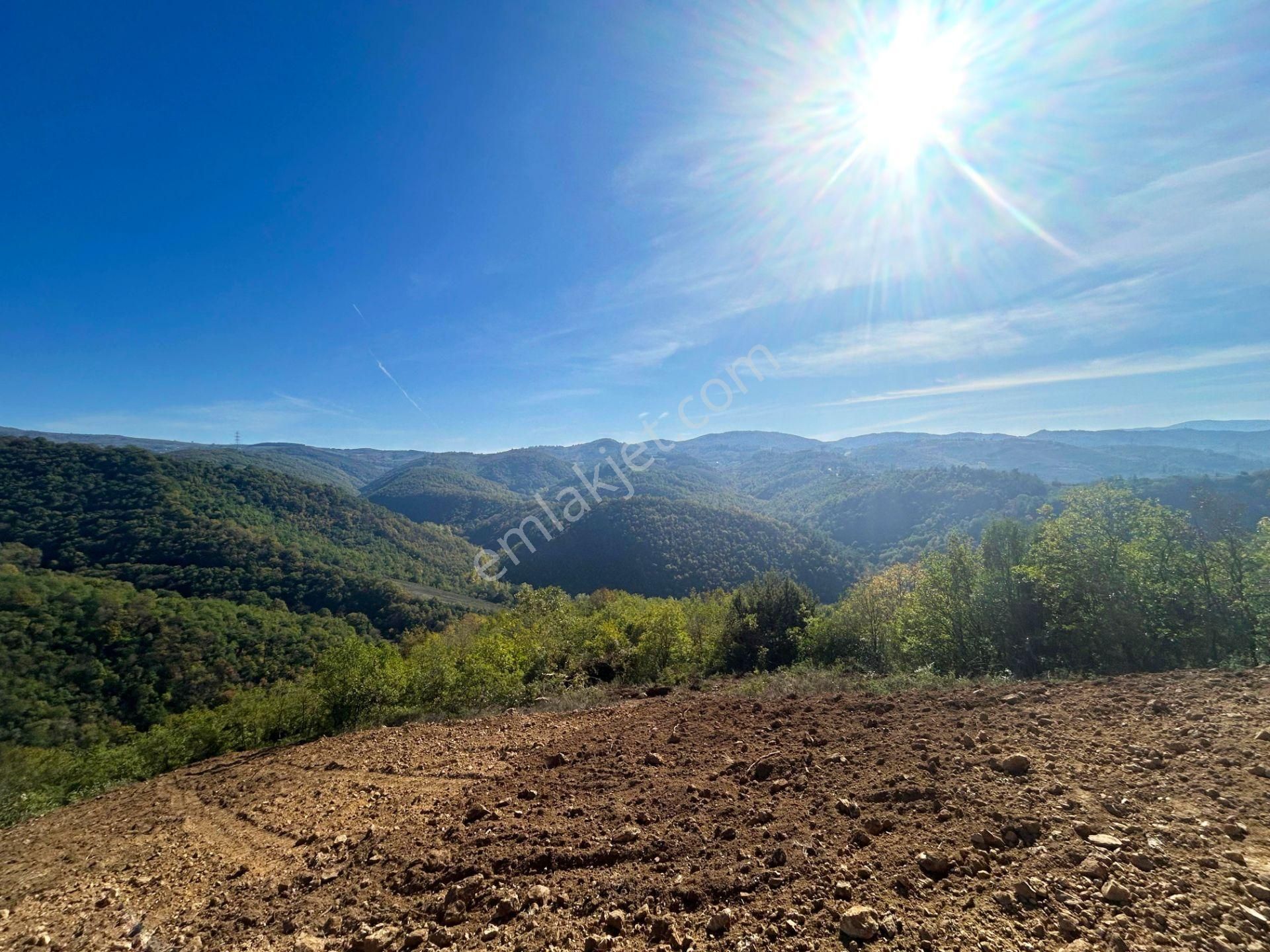 Kocaeli Karamürsel Çamdibi %5 İmarlı 1.247 M² Satılık Tarla - Görsel 10