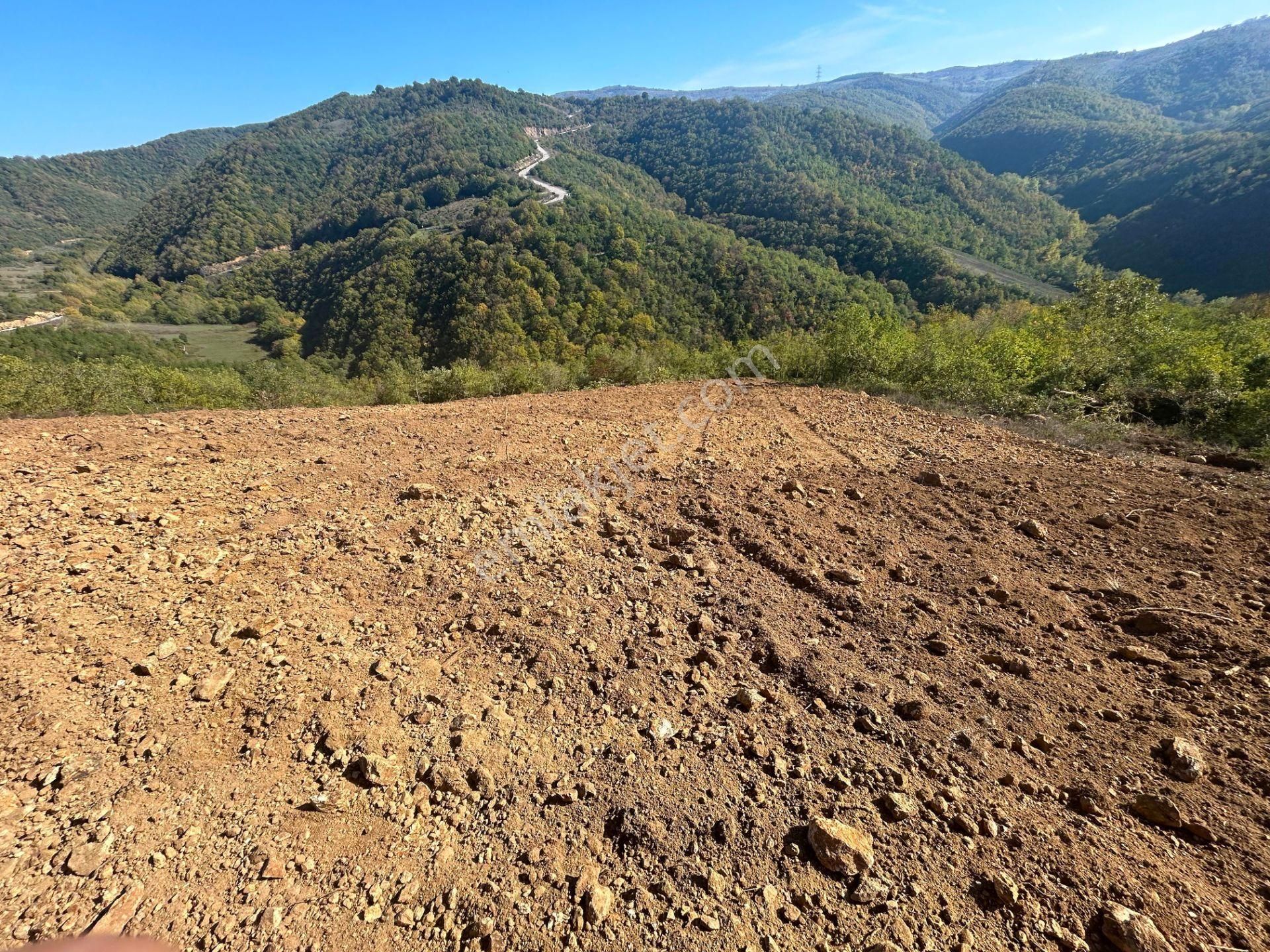 Kocaeli Karamürsel Çamdibi %5 İmarlı 1.247 M² Satılık Tarla - Görsel 14