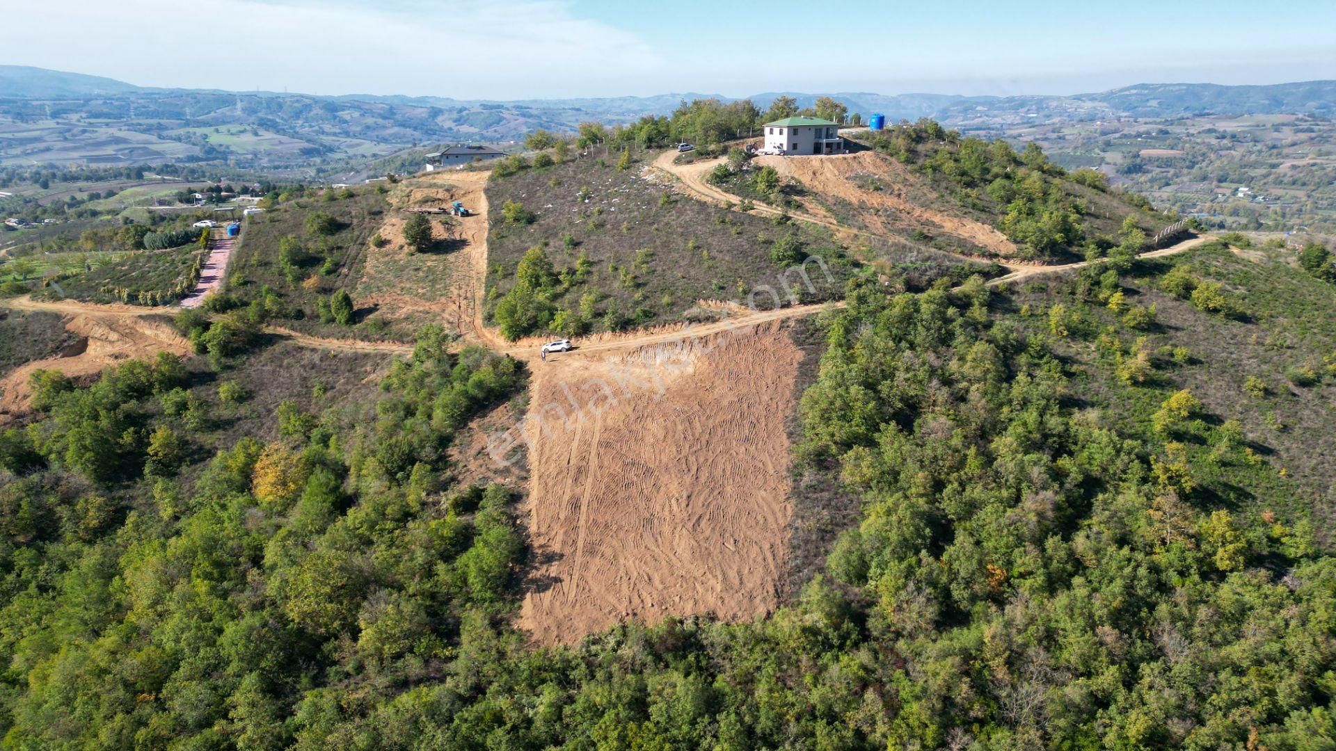 Kocaeli Karamürsel Çamdibi %5 İmarlı 1.247 M² Satılık Tarla - Görsel 4