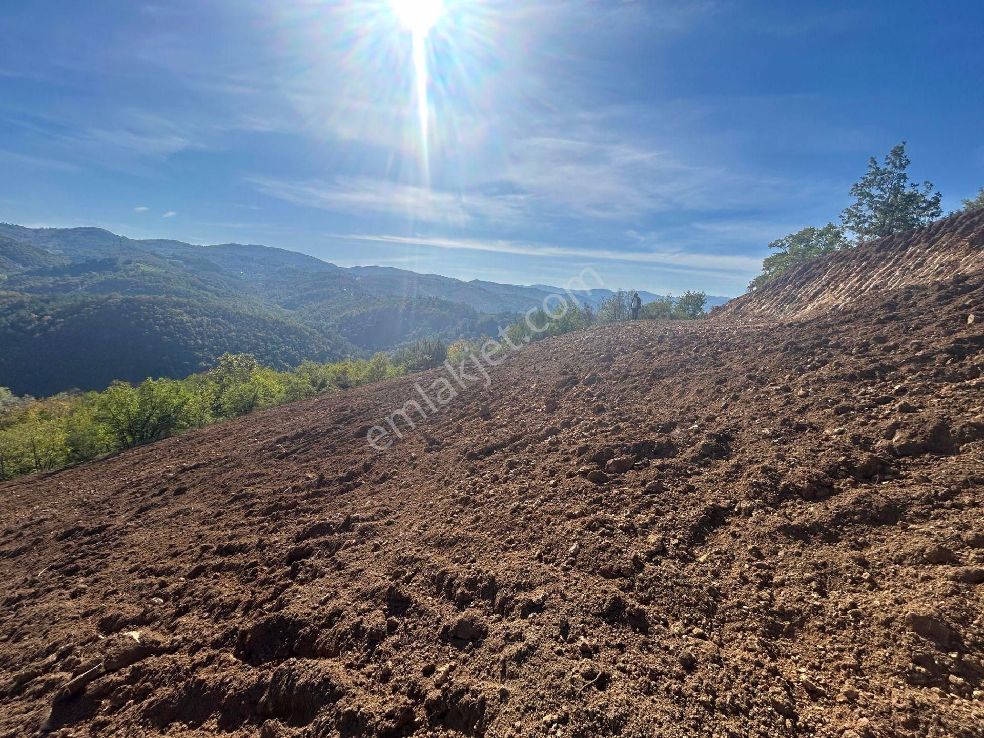 Kocaeli Karamürsel Çamdibi %5 İmarlı 1.247 M² Satılık Tarla - Görsel 13