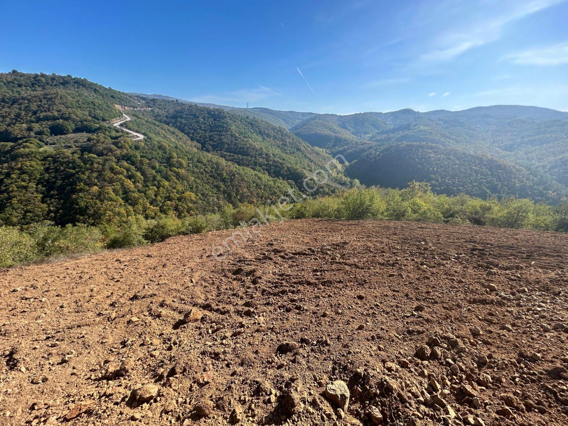 Kocaeli Karamürsel Çamdibi %5 İmarlı 1.247 M² Satılık Tarla - Görsel 15