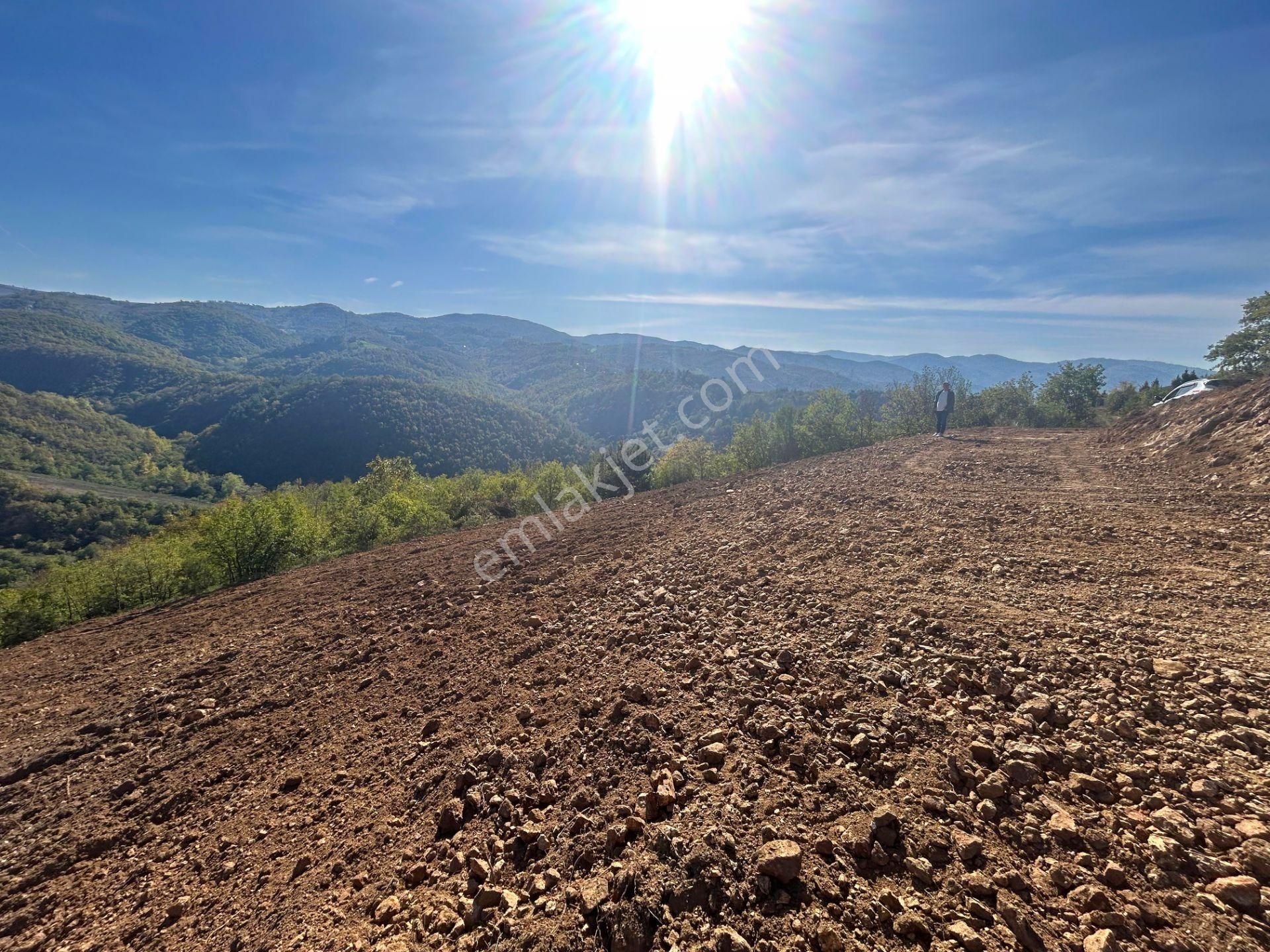 Kocaeli Karamürsel Çamdibi %5 İmarlı 1.247 M² Satılık Tarla - Görsel 11