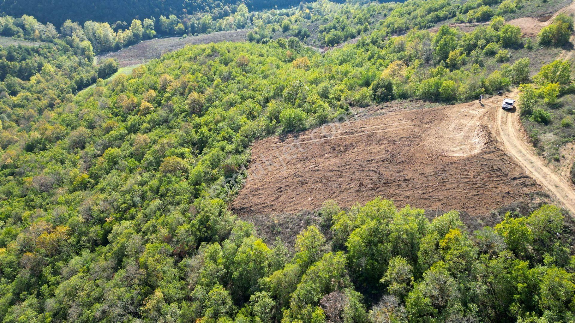 Kocaeli Karamürsel Çamdibi %5 İmarlı 1.247 M² Satılık Tarla - Görsel 5