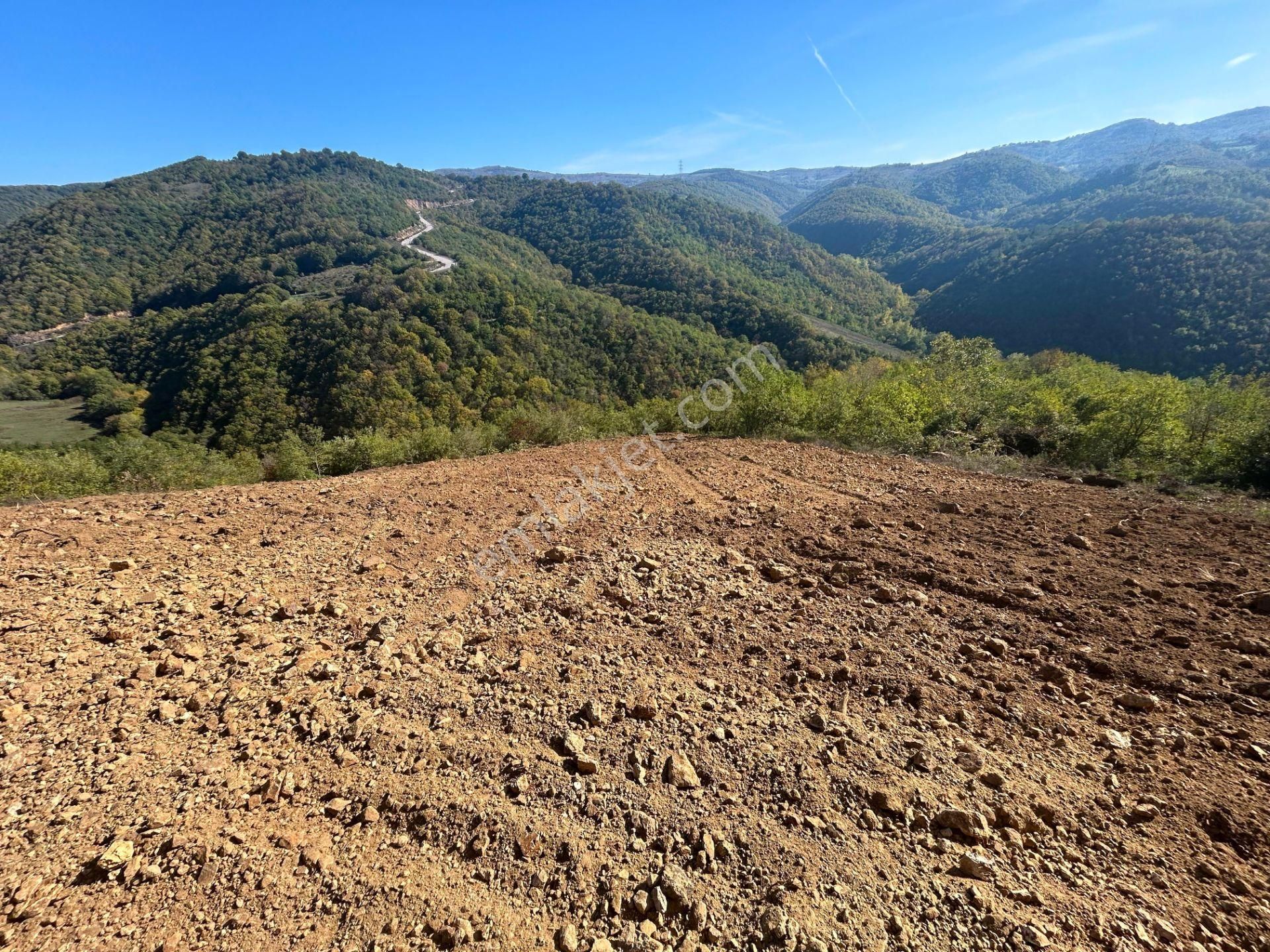 Kocaeli Karamürsel Çamdibi %5 İmarlı 1.247 M² Satılık Tarla - Görsel 2