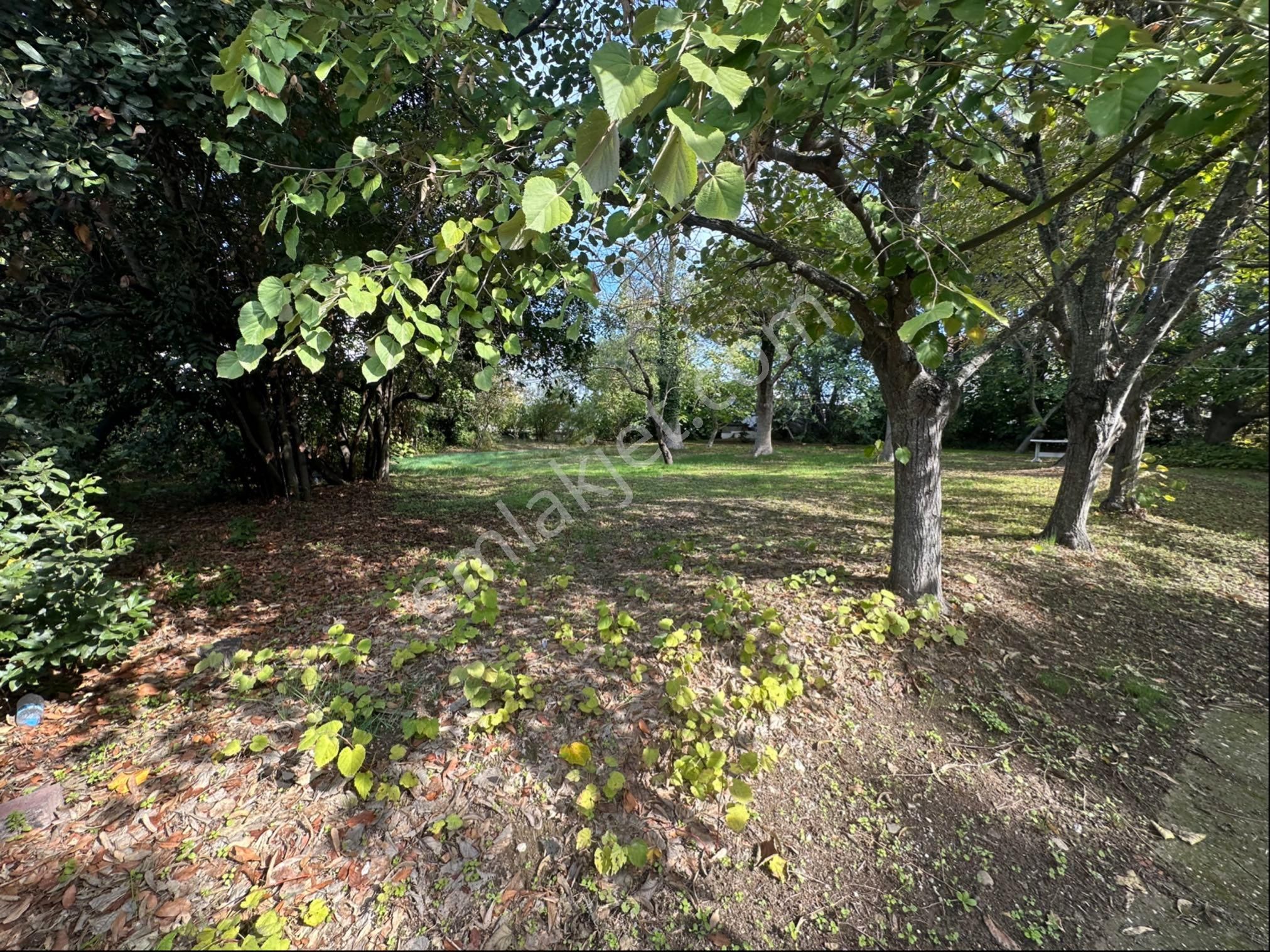 Silivri Semizkumlar'da 1660 M2 Bahçeli Arsa - Görsel 5