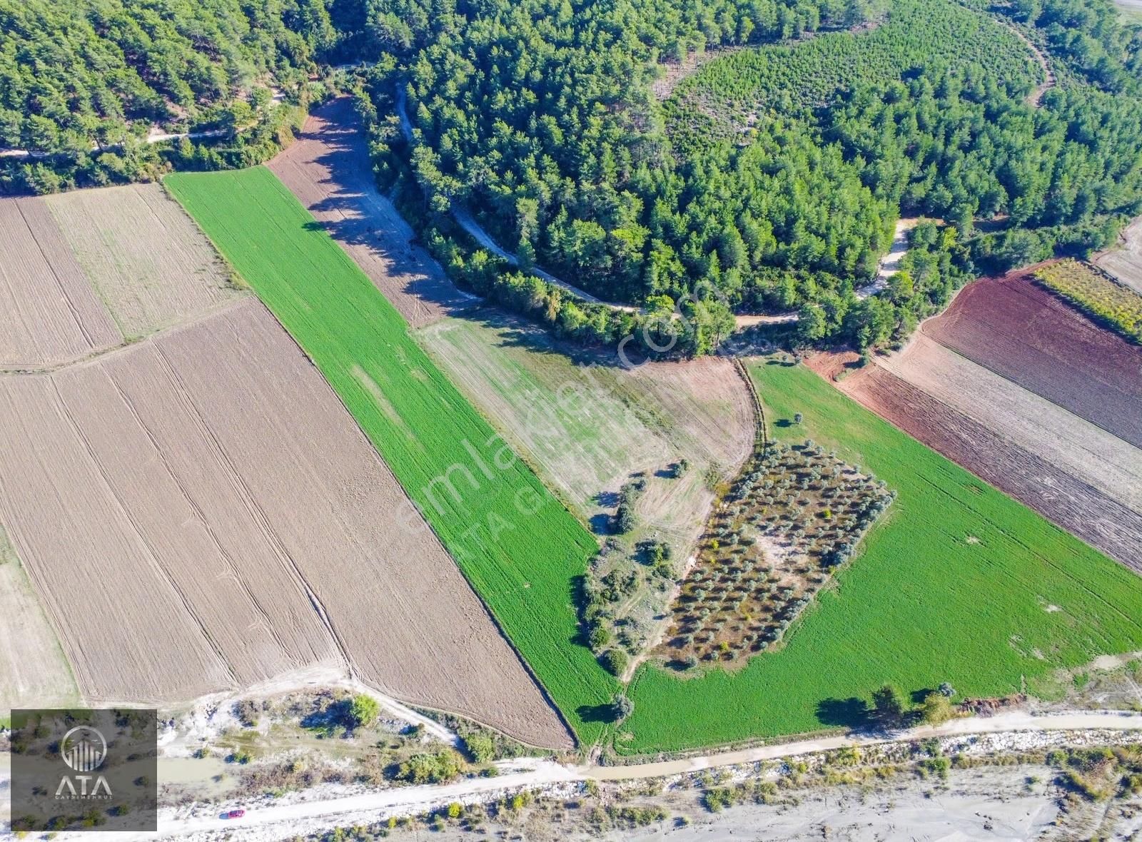 Ata'dan Palamut'ta Eşen Çayına Komşu 21.450 M² Ekime Hazır Tarla - Görsel 12