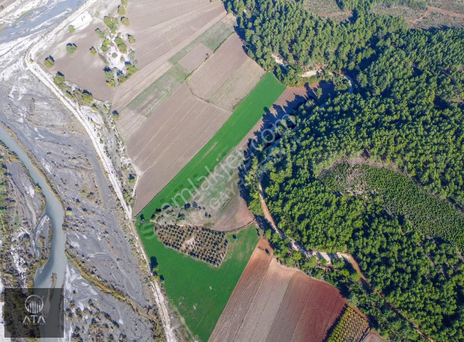 Ata'dan Palamut'ta Eşen Çayına Komşu 21.450 M² Ekime Hazır Tarla - Görsel 16