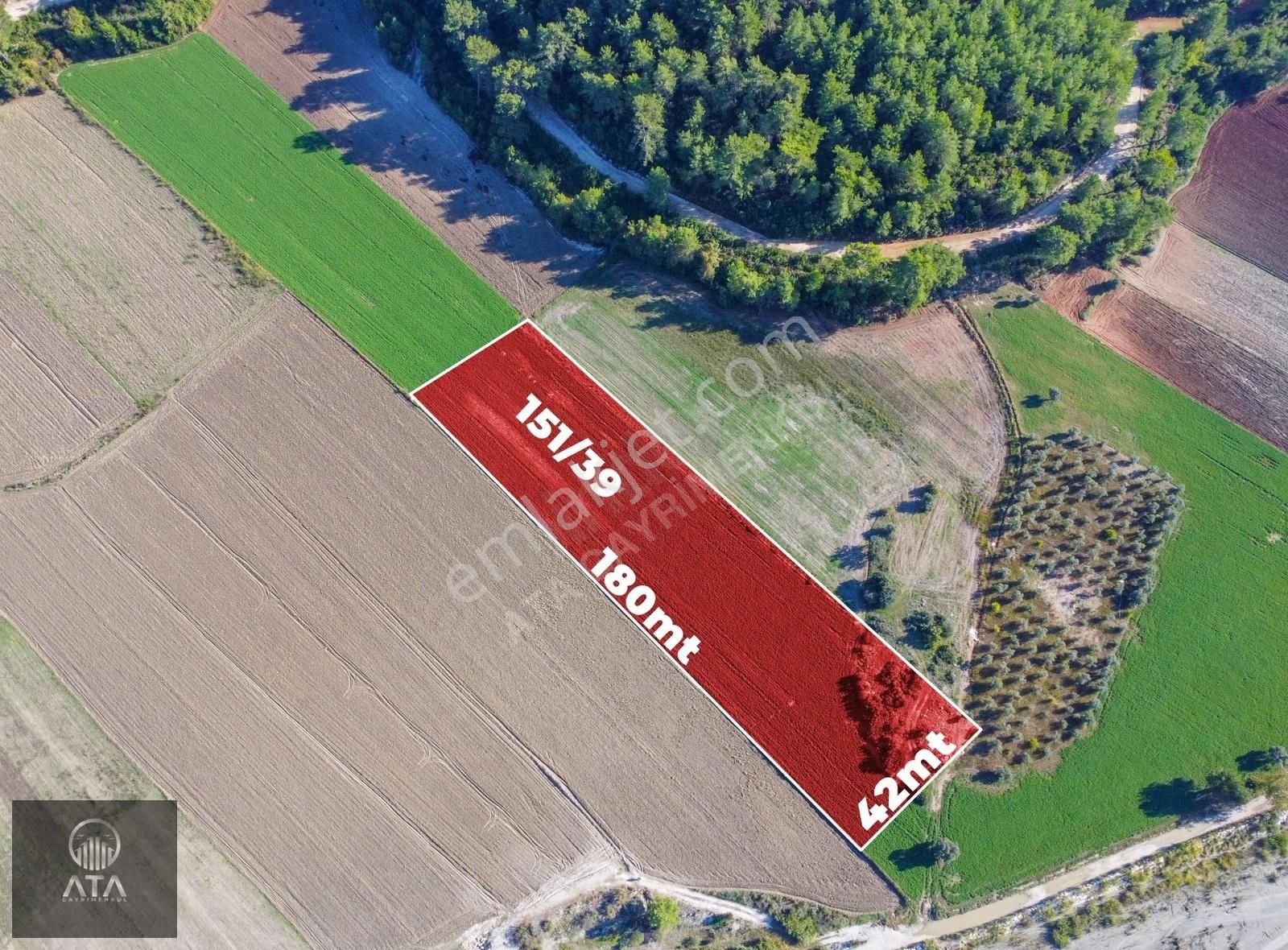 Ata'dan Palamut'ta Eşen Çayına Komşu 21.450 M² Ekime Hazır Tarla - Görsel 14