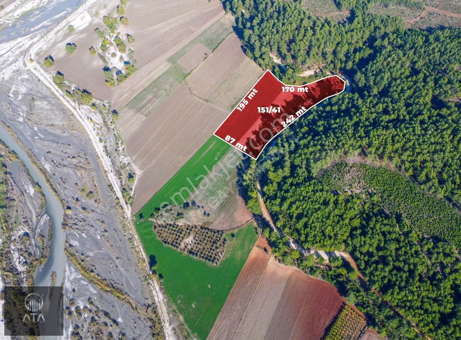 Ata'dan Palamut'ta Eşen Çayına Komşu 21.450 M² Ekime Hazır Tarla - Görsel 8