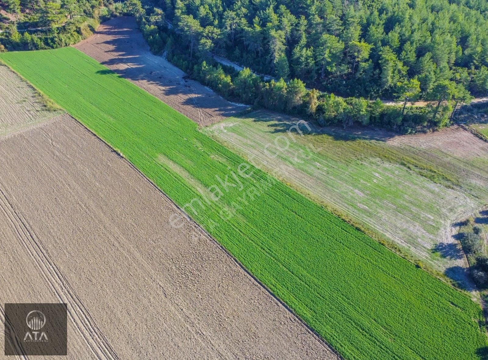 Ata'dan Palamut'ta Eşen Çayına Komşu 21.450 M² Ekime Hazır Tarla - Görsel 7