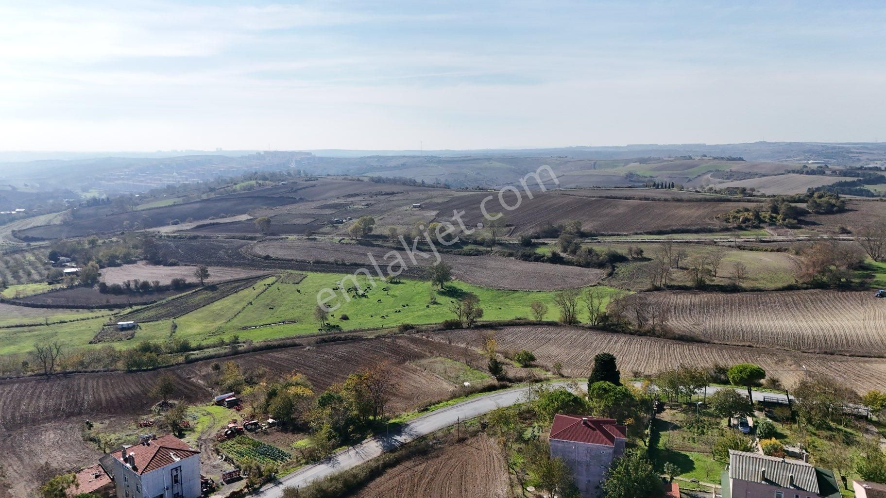 Satılık Arnavutköy Baklalı Mahalle İçinde 5385 M2 Arsa - Görsel 11