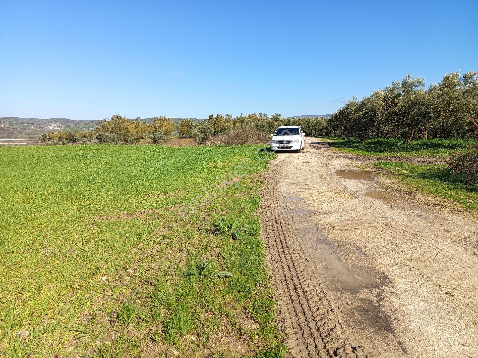 Nilüfer Çaylı Mahallesi Satılık 4.900 Mt2tarla - Görsel 12