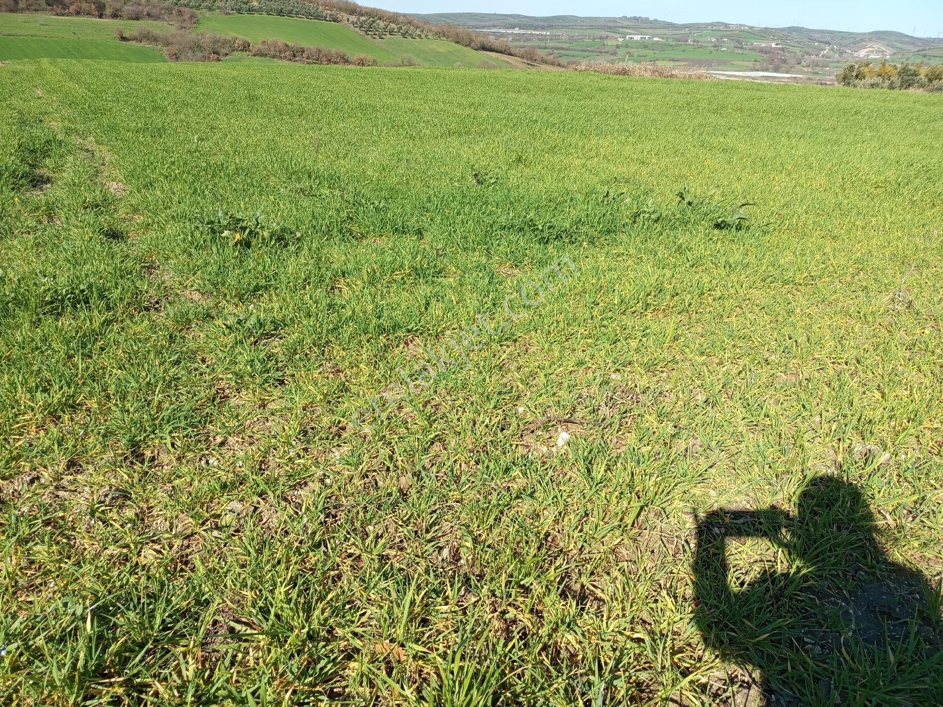 Nilüfer Çaylı Mahallesi Satılık 4.900 Mt2tarla - Görsel 11