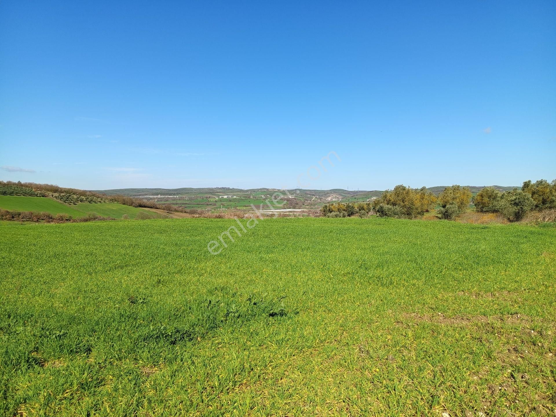 Nilüfer Çaylı Mahallesi Satılık 4.900 Mt2tarla - Görsel 6